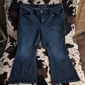 American Rag Dark Blue Flare Jeans
